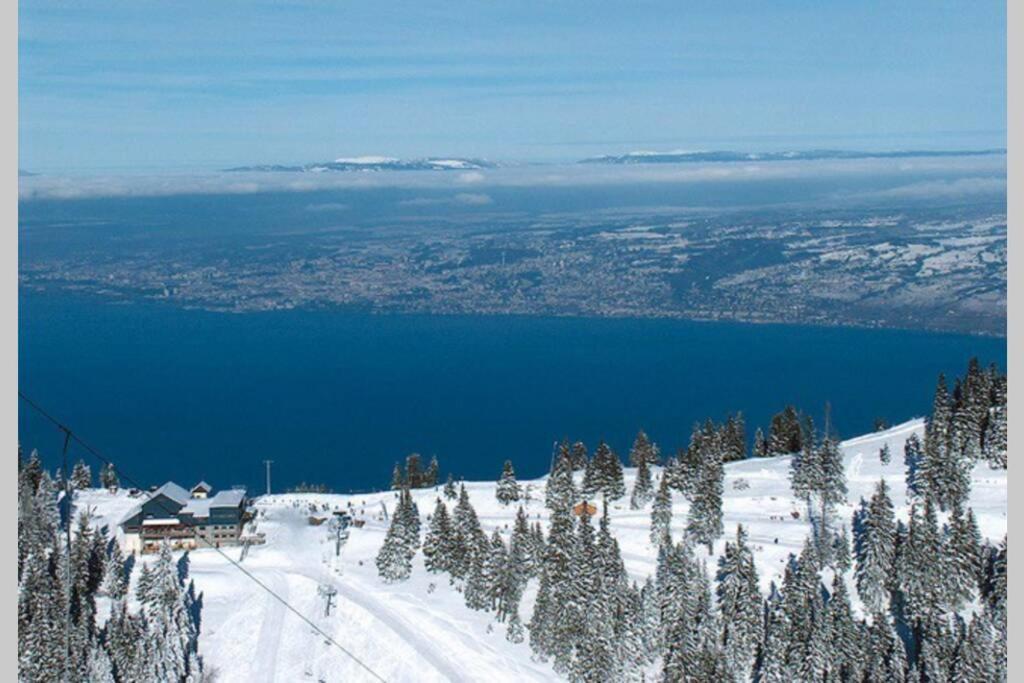 Duplex En Station Vue Sur Lac Leman Thollon-les-Memises Exterior foto